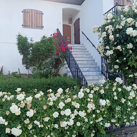 Casa Macedo 招待所