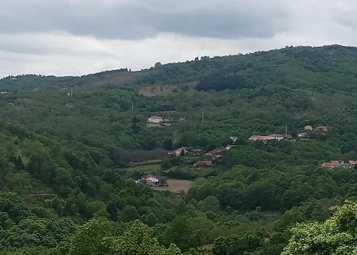 Casa de hóspedes Casa Macedo